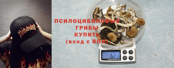 амф Кукмор