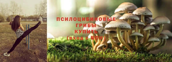 мяу мяу мука Кулебаки