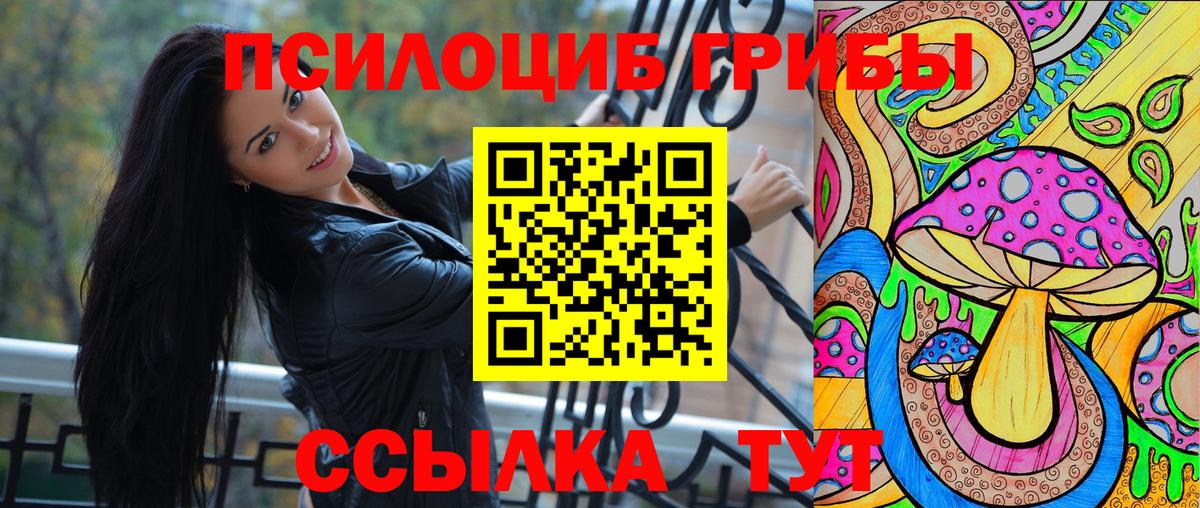 Псилоцибиновые грибы Psilocybe Чебаркуль