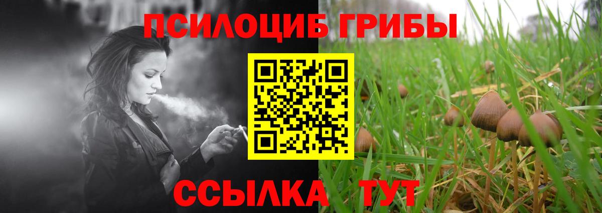 купить   Псилоцибиновые грибы Psilocybe  Галлюциногенные грибы Cubensis  Вход с VPN  Чебаркуль 